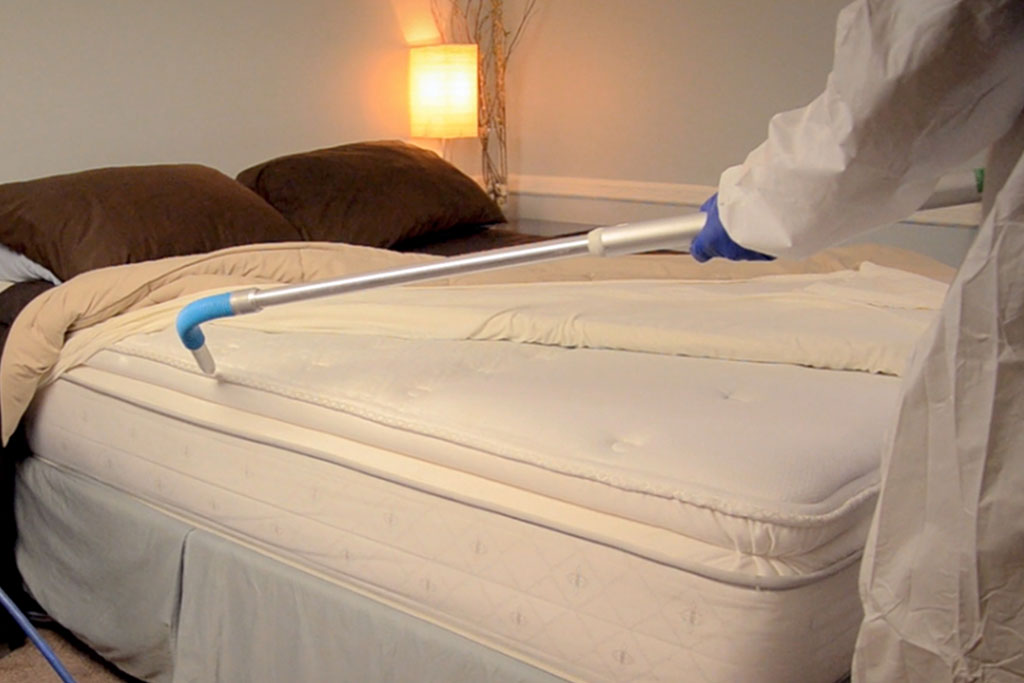 Bed Bug Treatment