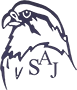 Saqr Al-Jazira
