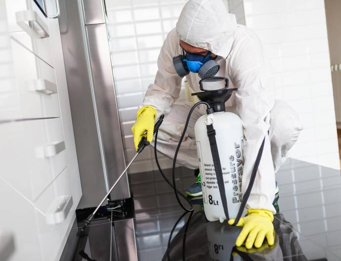 Saqr Al-Jazira Company